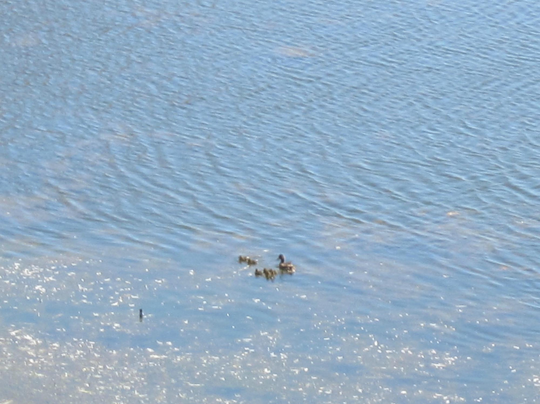 兰兹角-旧金山必去景点