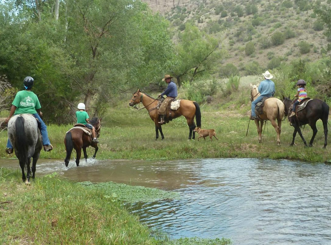 Cowboy Way Adventures-Wickenburg必去景点