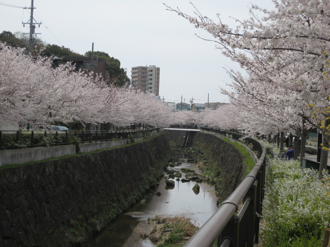 山崎川四季之道-名古屋市必去景点