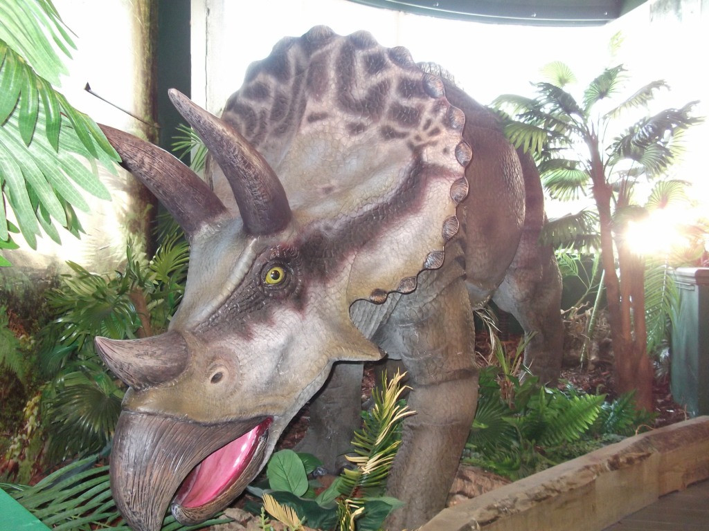 Torquays Dinosaur World-托基必去景点