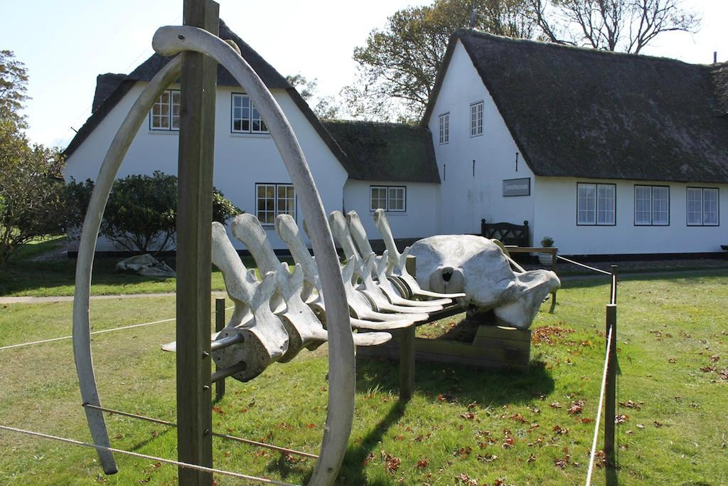 Sylt Museum-叙尔特必去景点