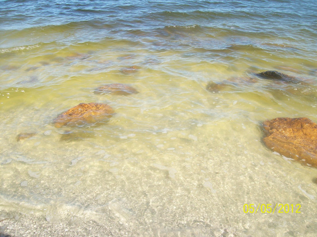 Lake View Beach景点图片