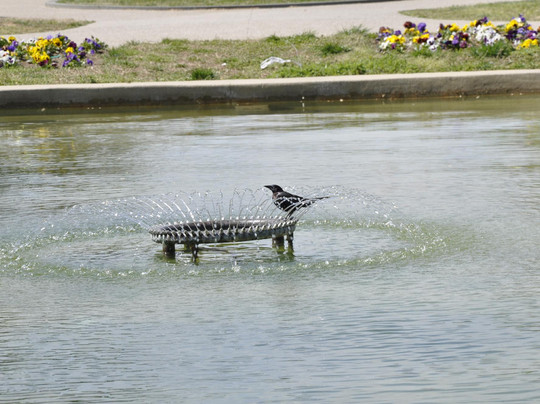 乔治梅森纪念亭-华盛顿特区必去景点