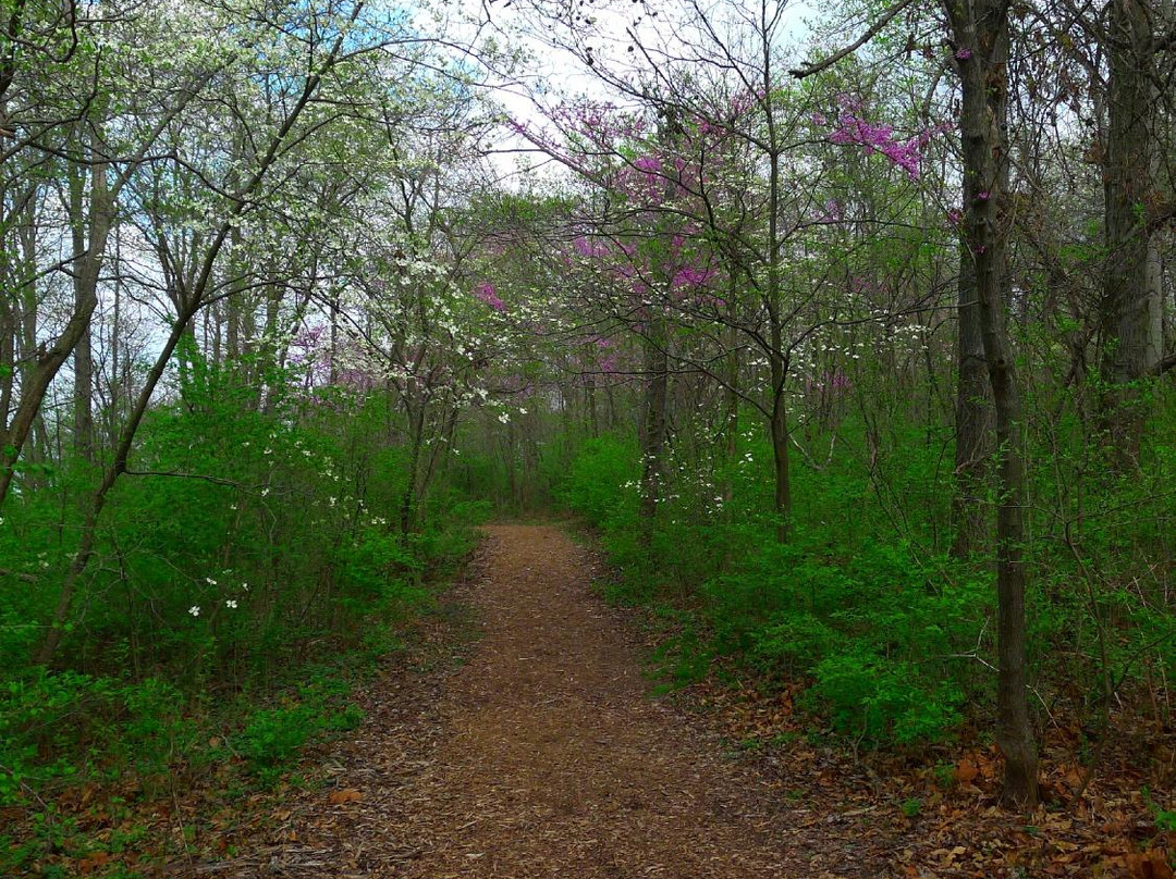Lincoln Memorial Garden-斯普林菲尔德必去景点