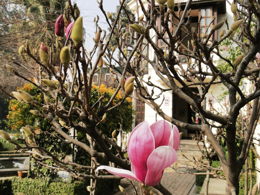 梦花园-加德满都必去景点