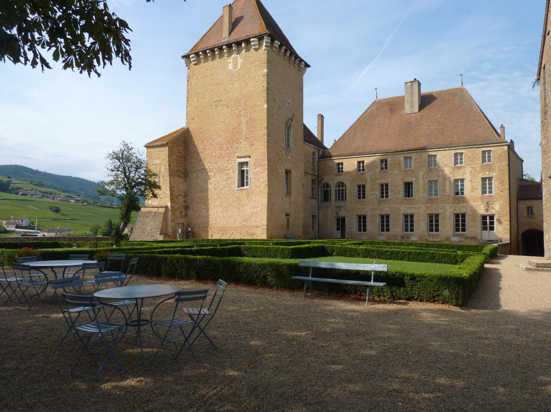 Château historique de Pierreclos景点图片