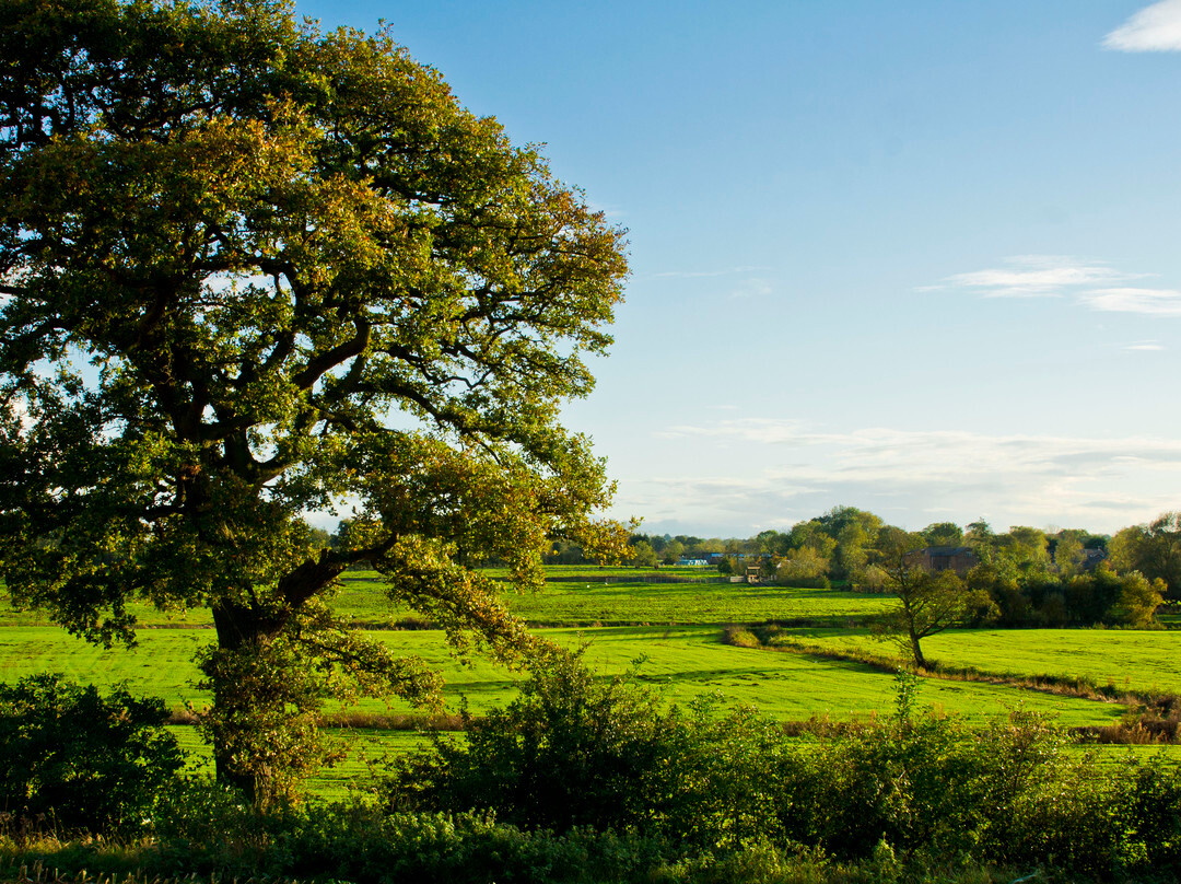 Bridge Trafford旅游攻略图片