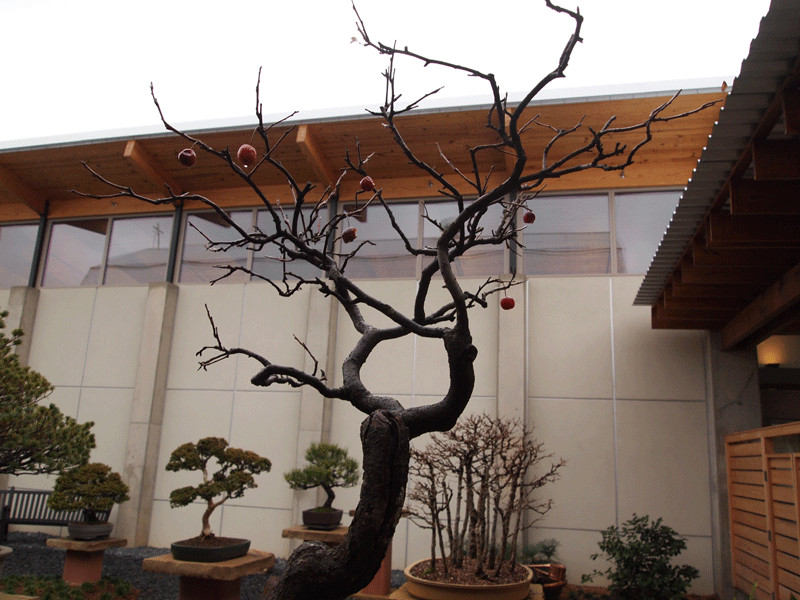 Monastery of the Holy Spirit-Conyers必去景点