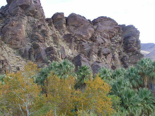 Five Star Adventures Tours-棕榈泉市必去景点