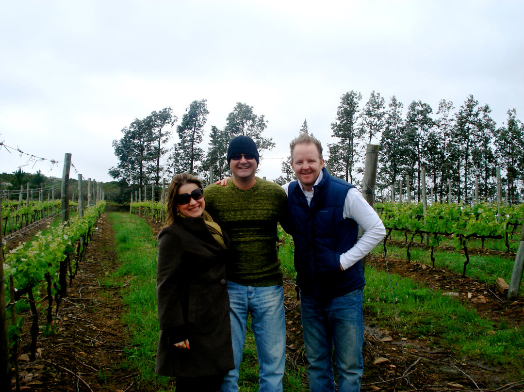 The Wine Experience-Punta Ballena必去景点