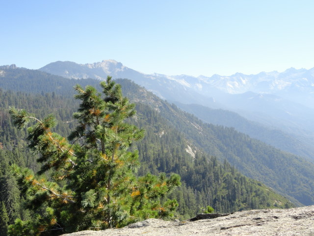 摩罗岩-红杉&国王峡谷国家公园必去景点