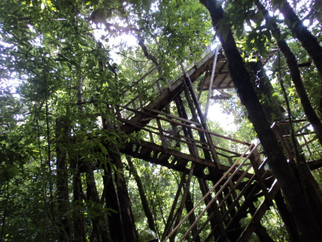 Canopy Adventure Barva Volcano景点图片