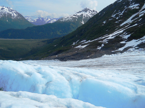 Exit Glacier Guides - Day Tours-苏厄德必去景点