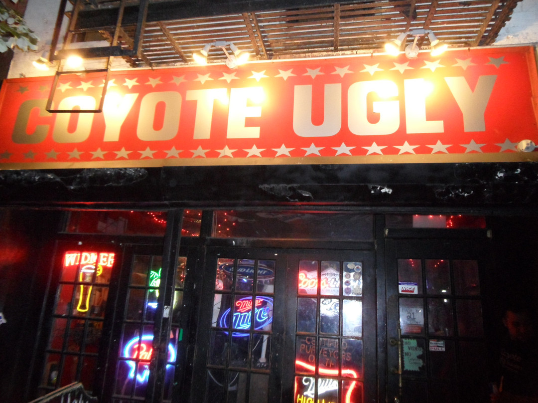 Coyote Ugly酒吧景点图片
