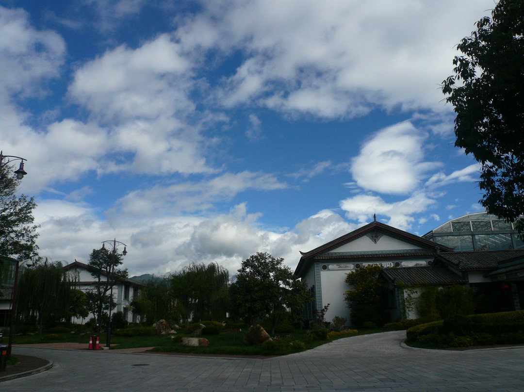 官房大酒店花园别墅主图