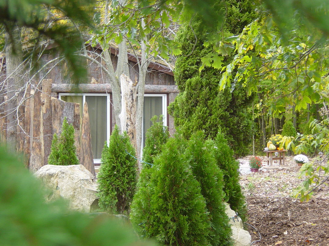 科尔本港酒店住宿-Natures Energy Centre & Sanctuary