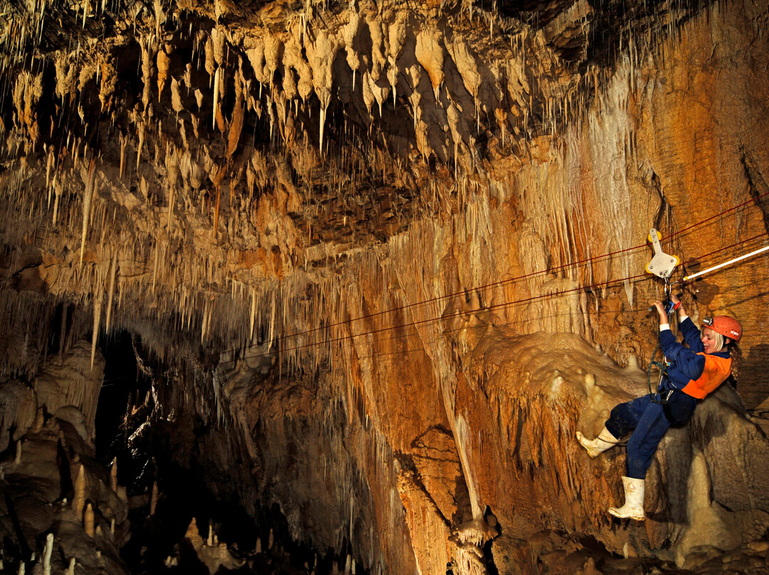 Waitomo Adventures景点图片