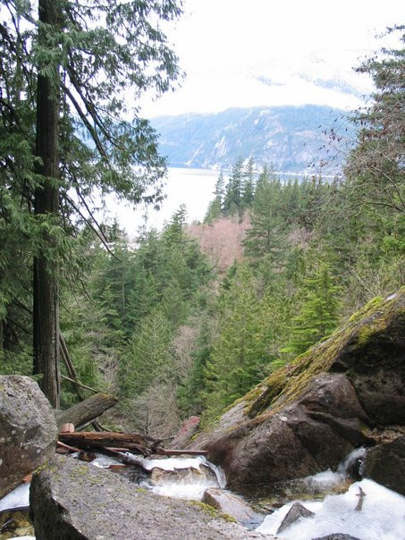 Stawamus Chief Park景点图片