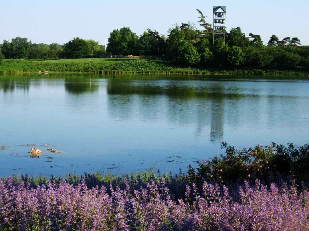 Chicago Botanic Garden-Glencoe必去景点