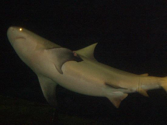 海岛购物村-坎昆必去景点