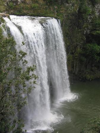 Whangarei Falls景点图片