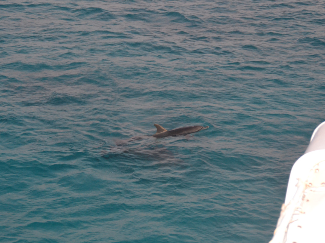穆罕默德角国家公园-沙姆沙伊赫必去景点