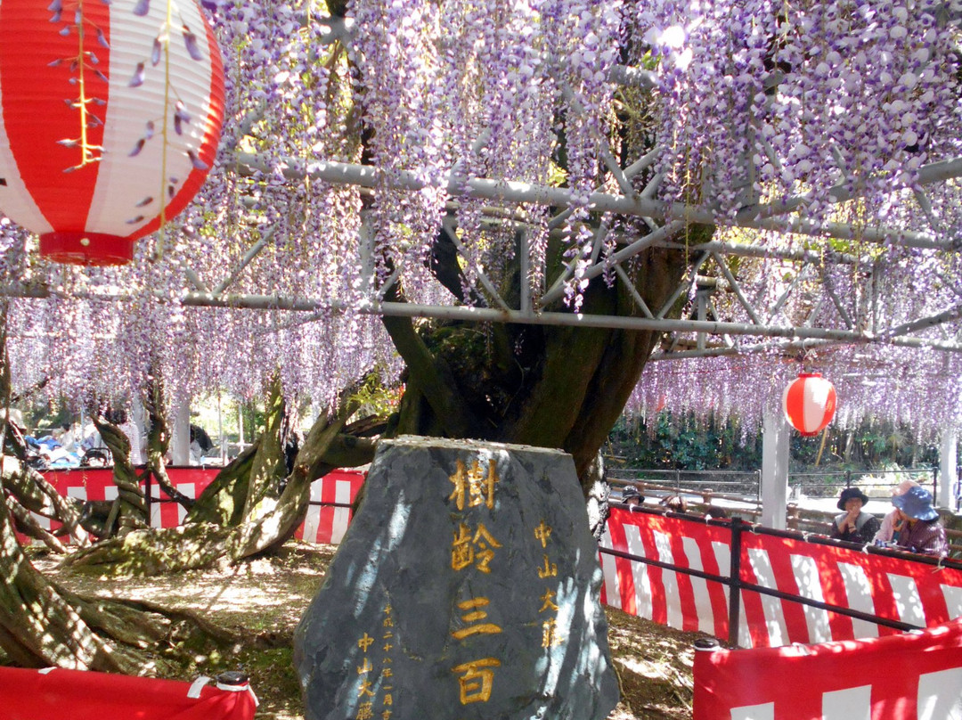 Nakayama Oto Festival-柳川市必去景点