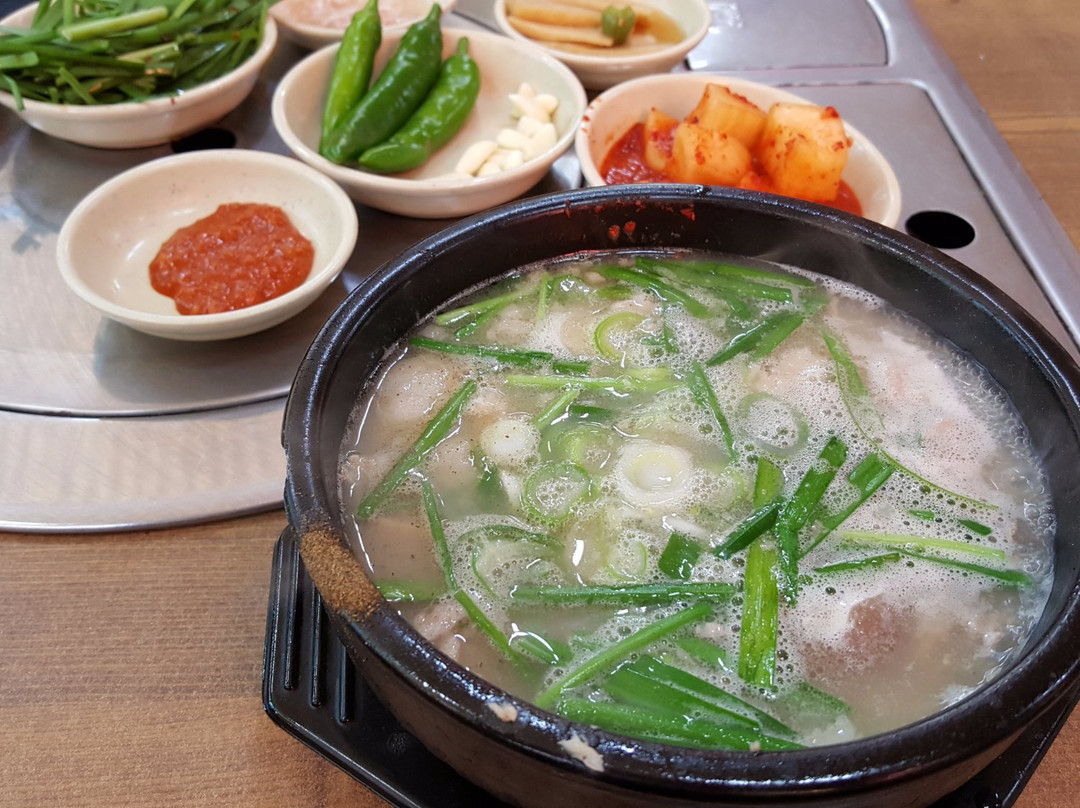 庆尚南道餐馆和美食-Wheat Yang Ginseng Pork Rice Soup