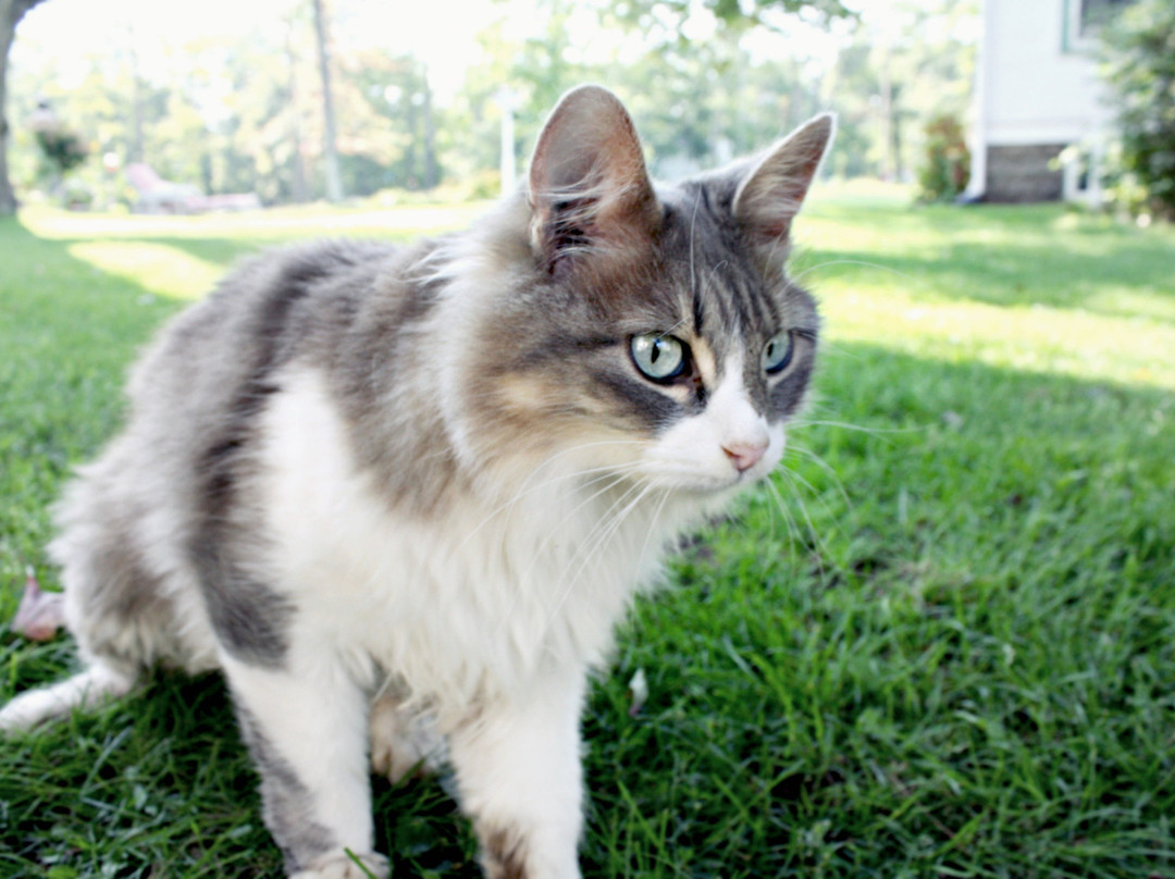 The Inn At Timber Cove主图