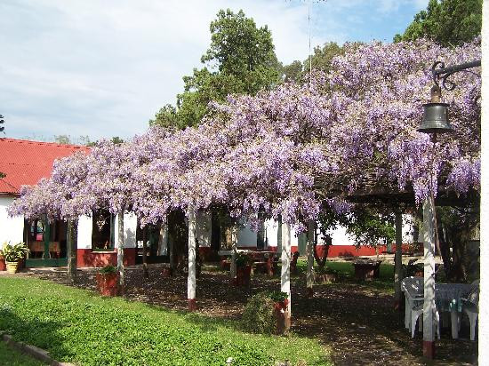 Estancia Hosteria El Ceibo
