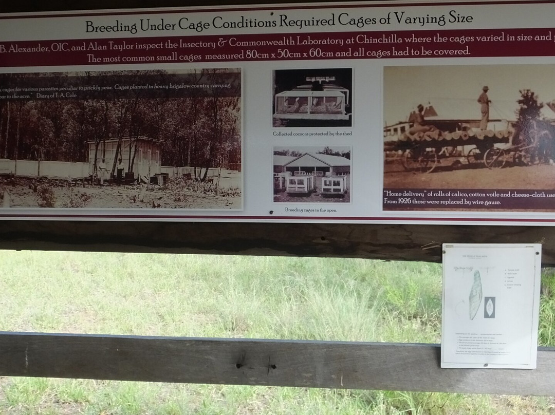 Cactoblastis Monument-Chinchilla必去景点