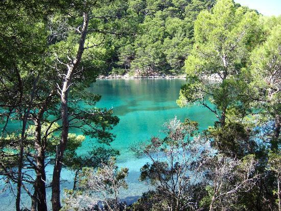 Mljet National Park景点图片