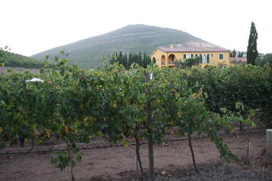 Azienda Agricola Leda' d'Ittiri-阿尔盖罗必去景点