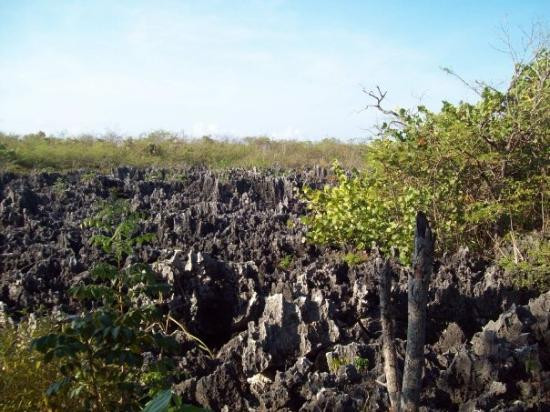 地狱-大开曼岛必去景点