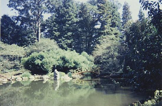 Birmingham Botanical Gardens-伯明翰必去景点