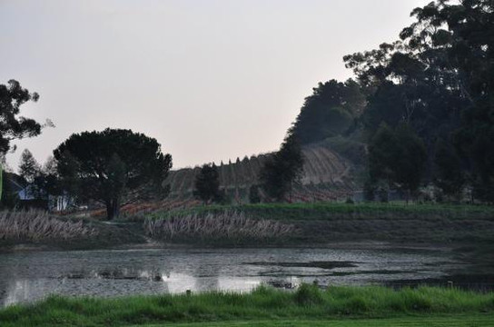 Cape Wine and Leisure Tours-斯泰伦博斯必去景点