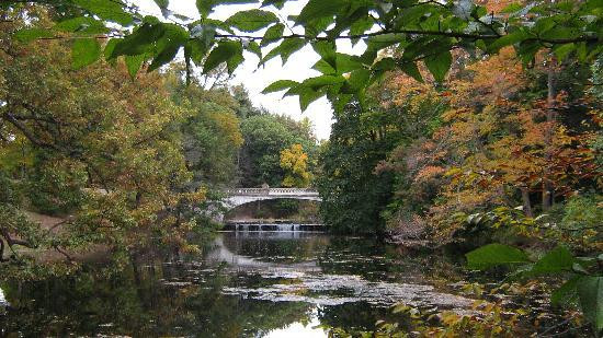 Vanderbilt Mansion National Historic Site-海德公园必去景点