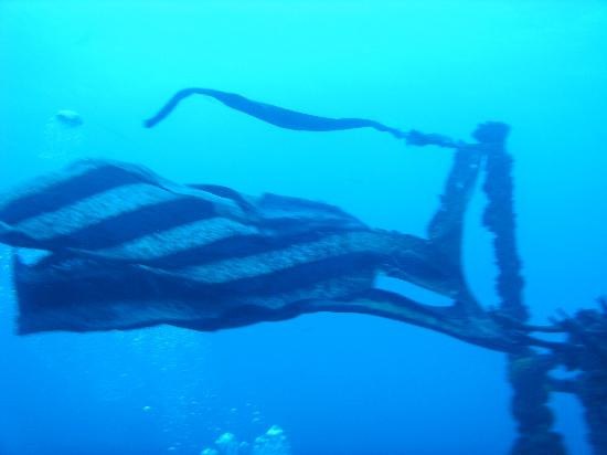 USCG Duane-拉哥岛必去景点