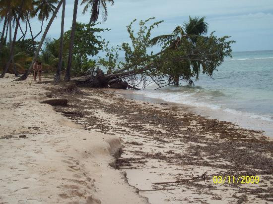 Grand Anse Beach-South Coast必去景点