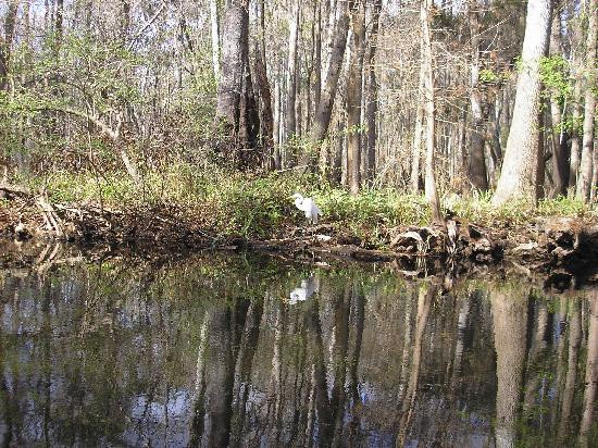 Canoe Escape-Thonotosassa必去景点