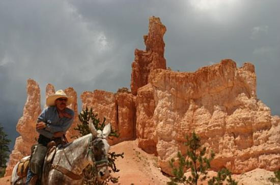 Canyon Trail Rides-特罗皮克必去景点