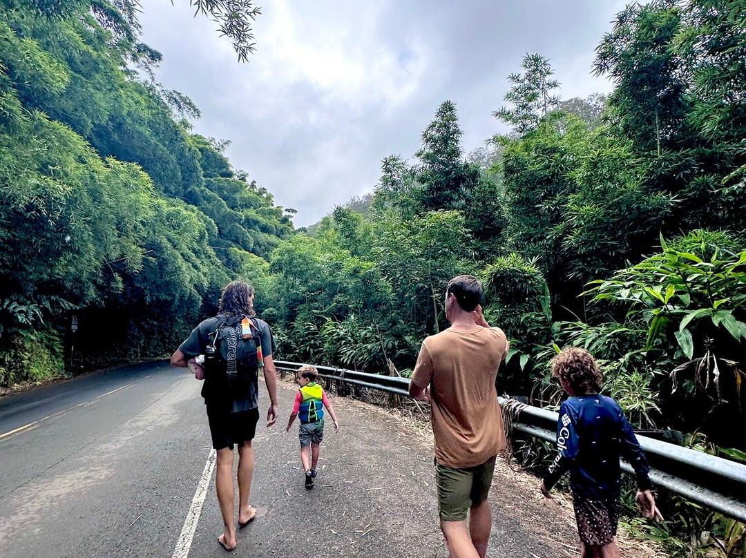 Maui Radiant Tours-拉海纳必去景点