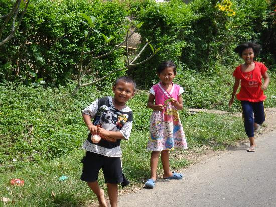 Halo Bike Cycling Tour-吉安雅必去景点