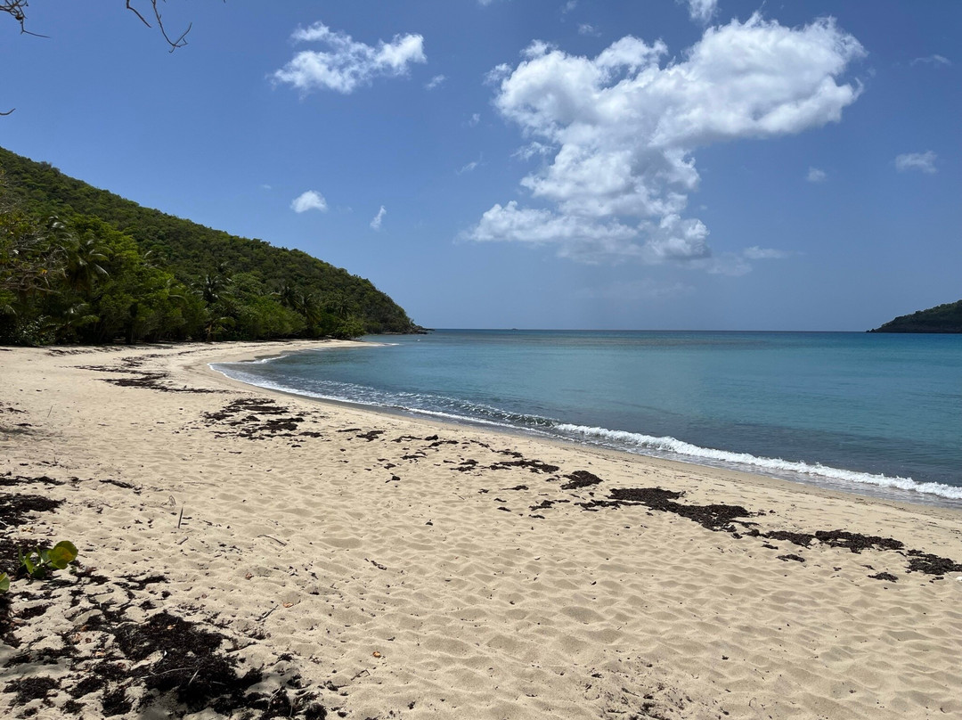 Full & Half day tours with Jeep Surfari-圣 托马斯必去景点