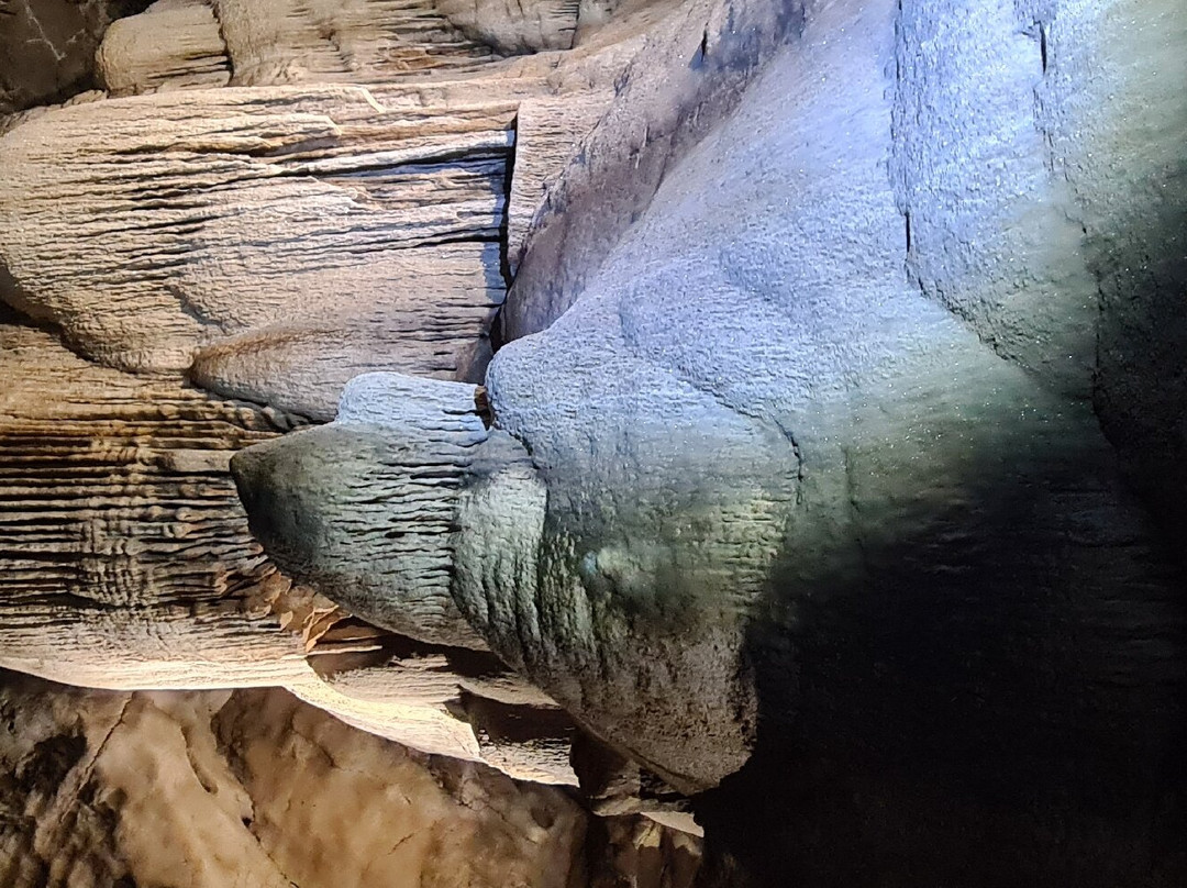 Wellington Caves & Phosphate Mine景点图片