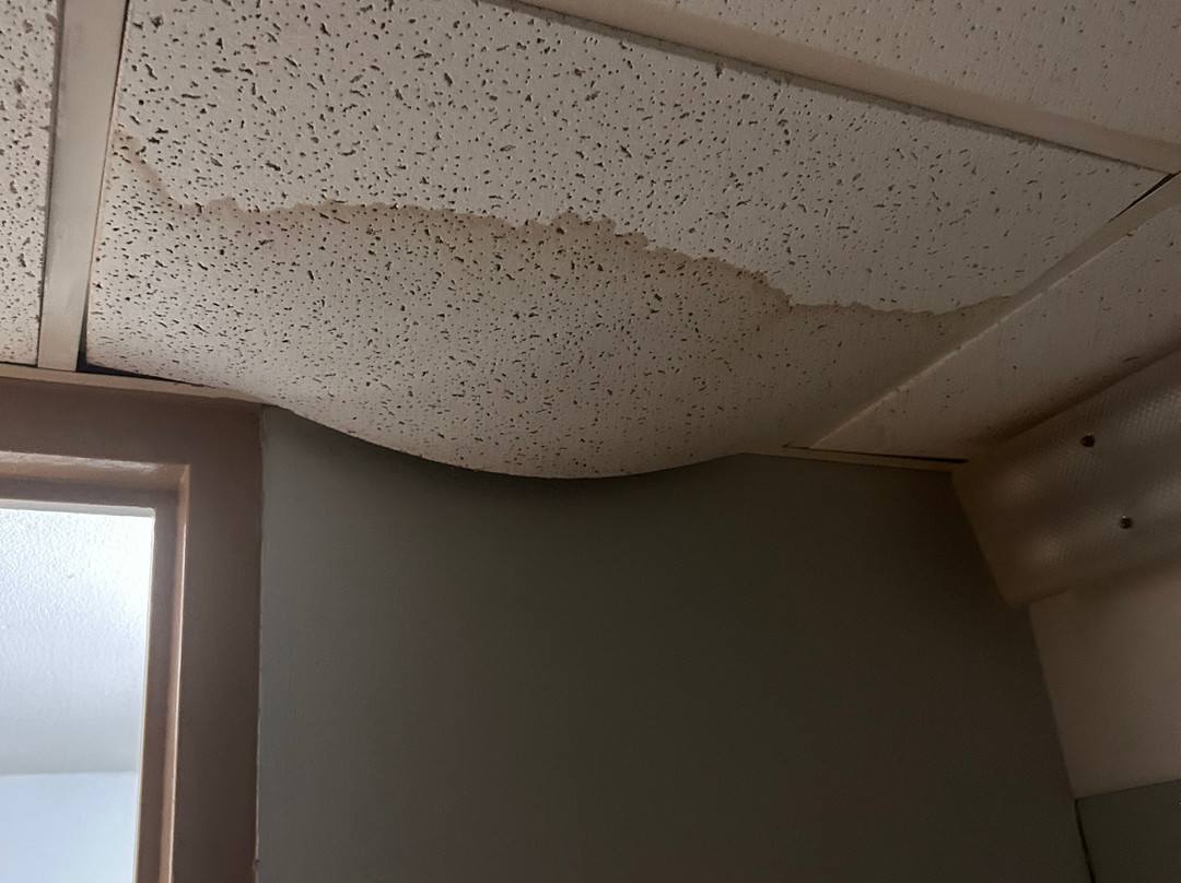 Super 8 by Wyndham Adel主图