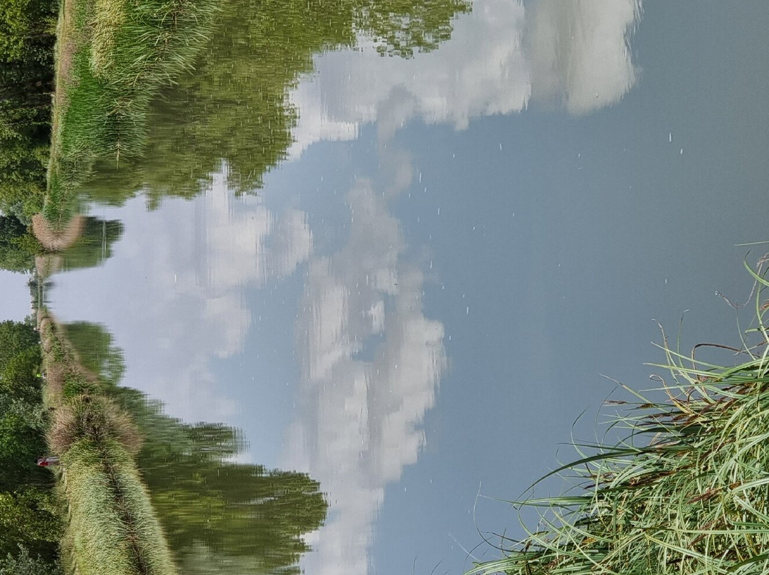 Canal de Castilla景点图片