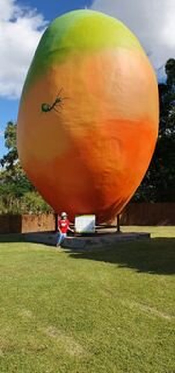 The Big Mango-博恩必去景点