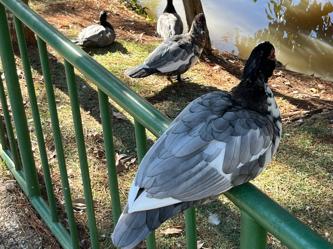 Museu da Agua de Indaiatuba-因达亚图巴必去景点