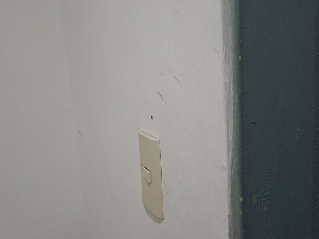 NK Hotel Nekie Tepic主图